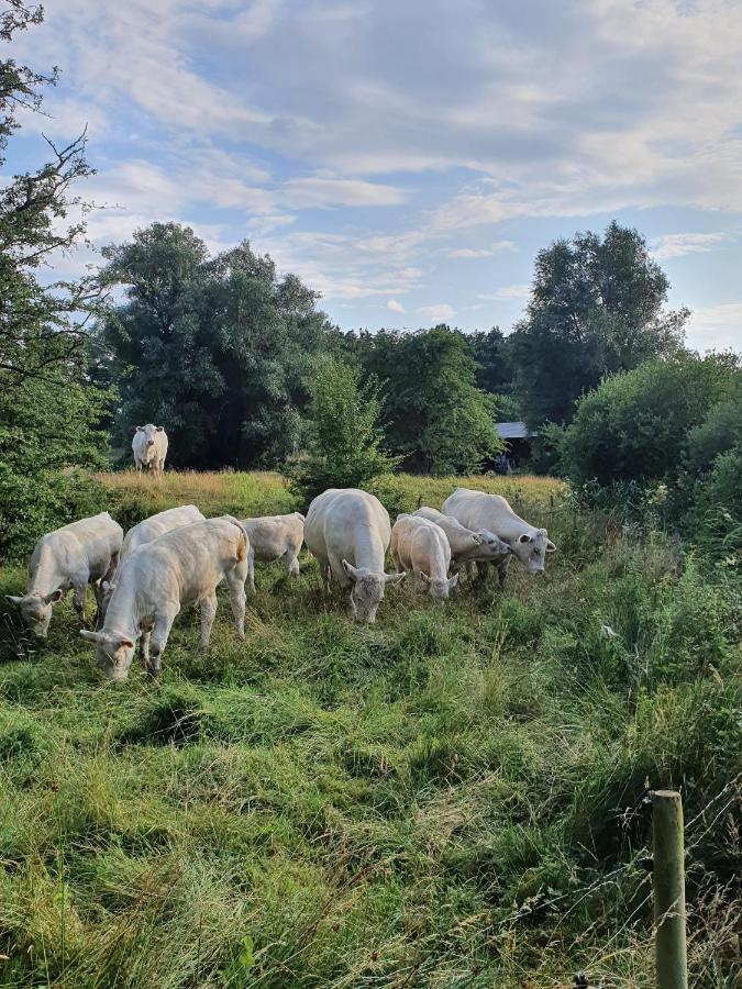 Skogsbaeckens Stugby Ab Villa Tomelilla Eksteriør bilde