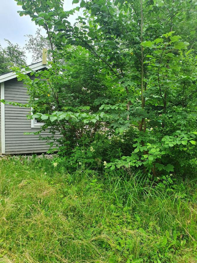 Skogsbaeckens Stugby Ab Villa Tomelilla Eksteriør bilde